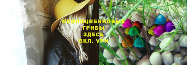 твердый Абаза