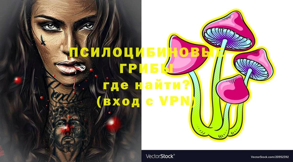 твердый Абаза