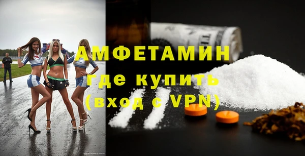 твердый Абаза